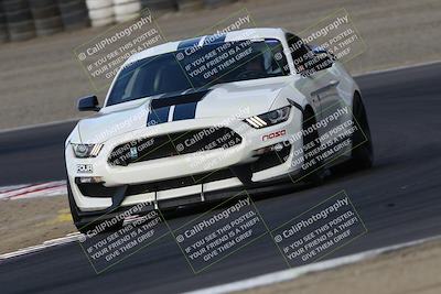media/Aug-23-2024-Speed Ventures (Fri) [[92f1efc5e7]]/Red/Session 1 (Turn 3)/